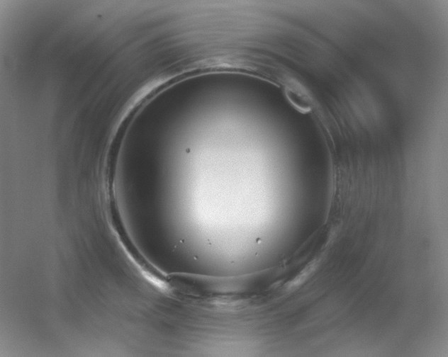 X0000055521141200508121036
