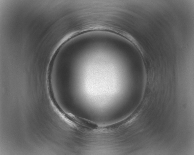 X0000055521142200508121036