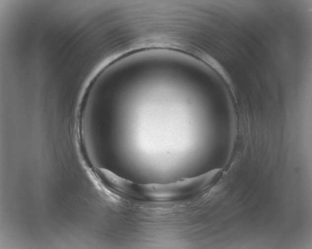 X0000055521144200508121036