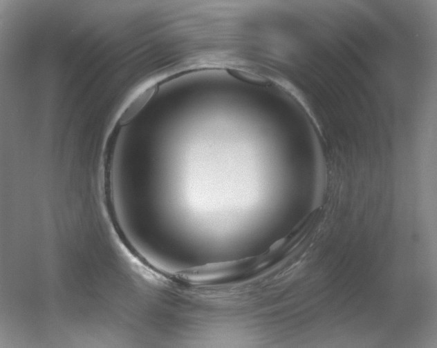 X0000055521147200508121036
