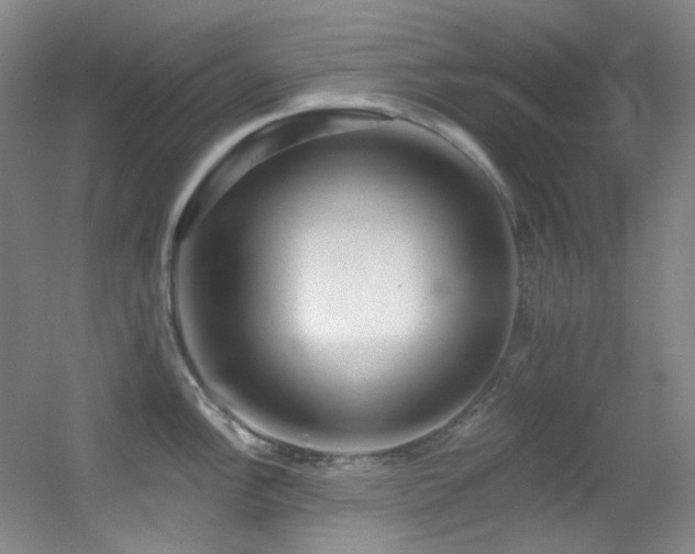 X0000055521148200508121037