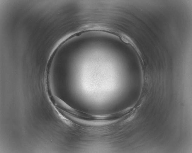 X0000055521149200508121037