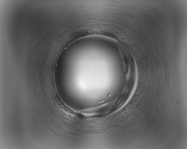 X0000055521153200508121036
