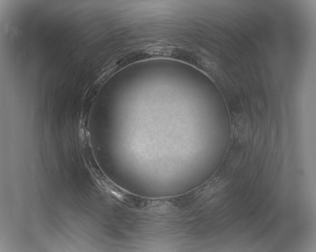 X0000055521154200508121036