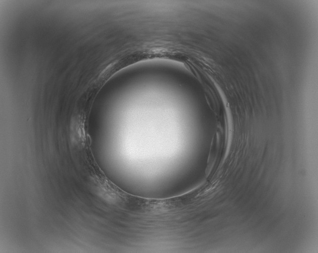 X0000055521155200508121036