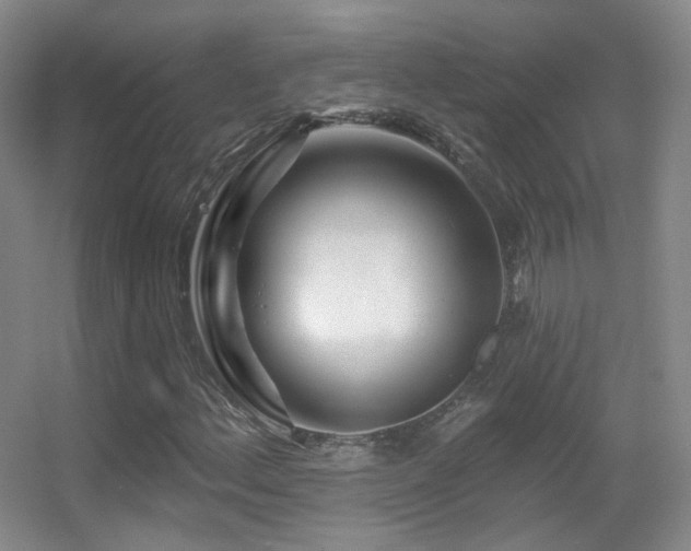 X0000055521156200508121036