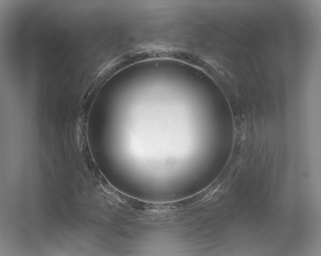 X0000055521157200508121036