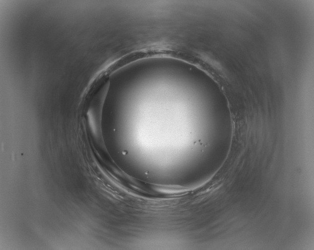X0000055521160200508121036