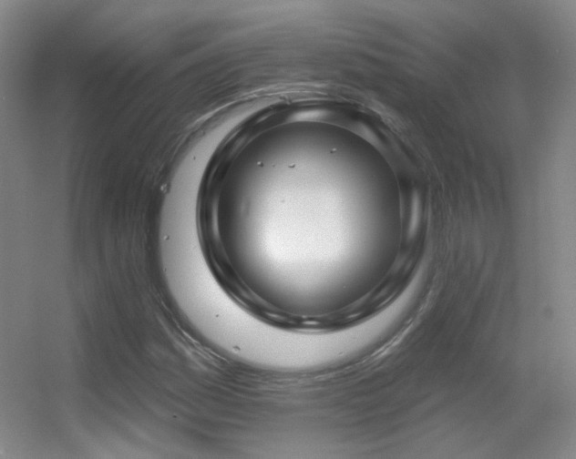 X0000055521161200508121036