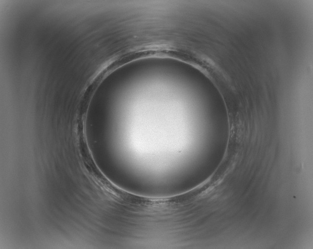 X0000055521162200508121036