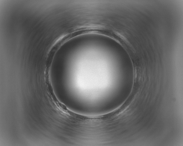 X0000055521163200508121036