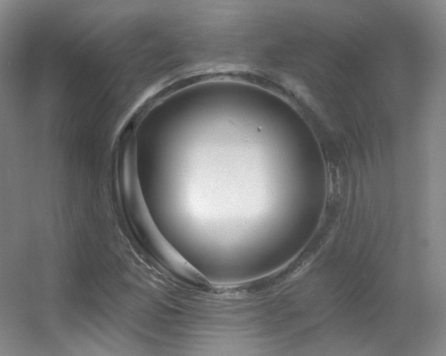 X0000055521165200508121036