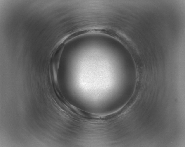 X0000055521169200508121035