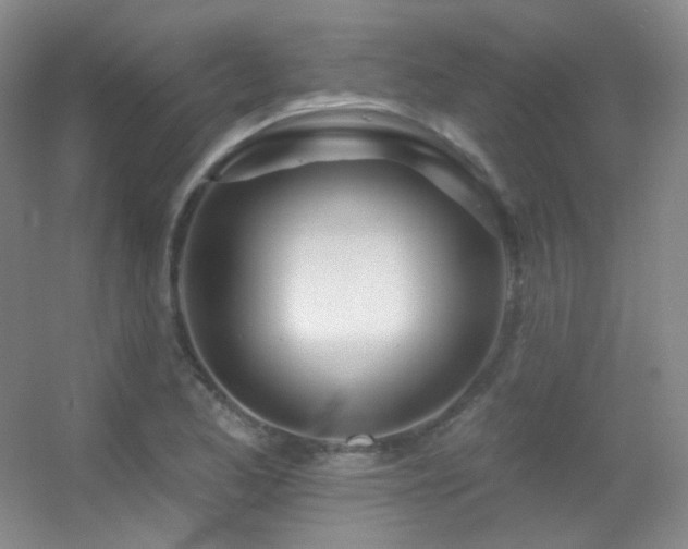 X0000055521173200508121035