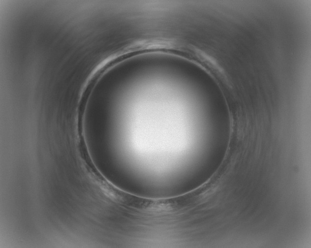X0000055521174200508121035