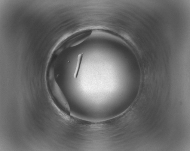 X0000055521181200508121035
