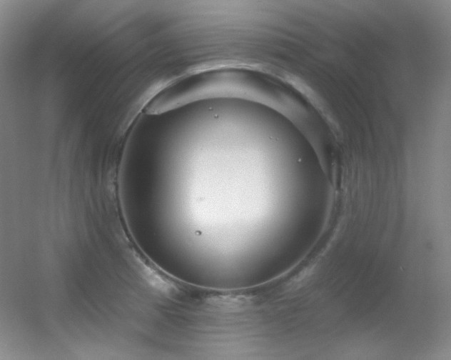 X0000055521185200508121035