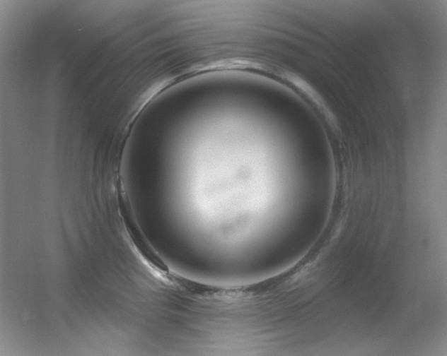 X0000055521193200508121035