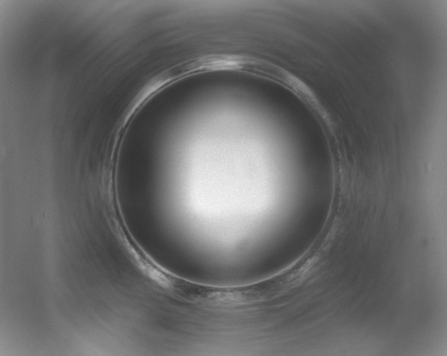 X0000055521194200508121035