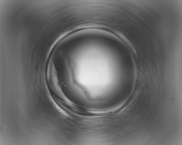 X0000055521197200508121035
