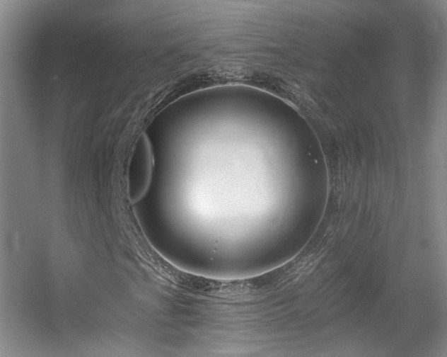 X0000055521201200508121034