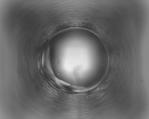 X0000055521202200508121034
