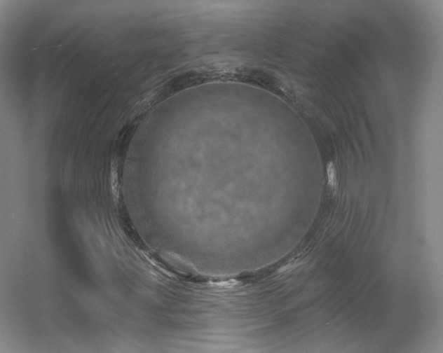 X0000055521203200508121034