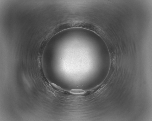 X0000055521204200508121034
