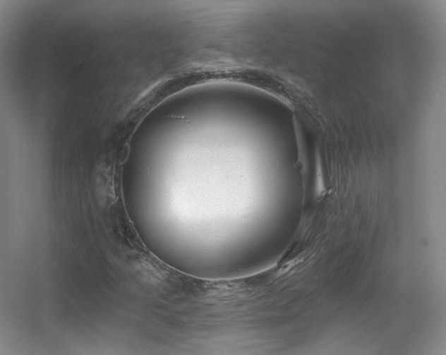 X0000055521205200508121034