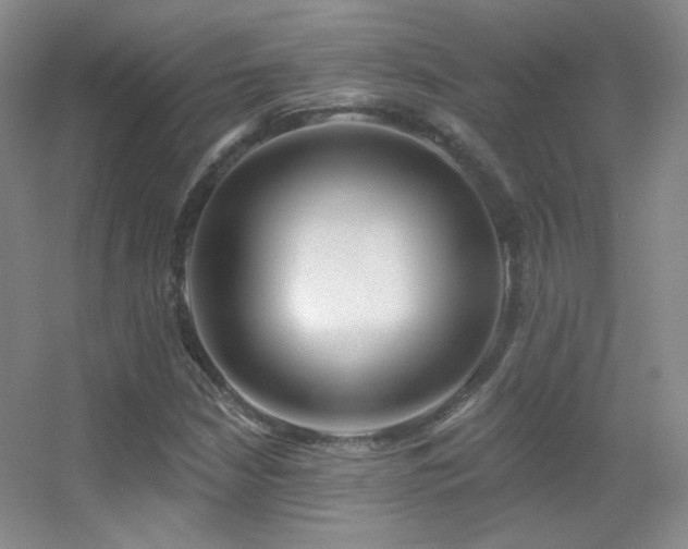 X0000055521210200508121034
