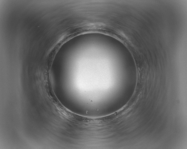 X0000055521211200508121034