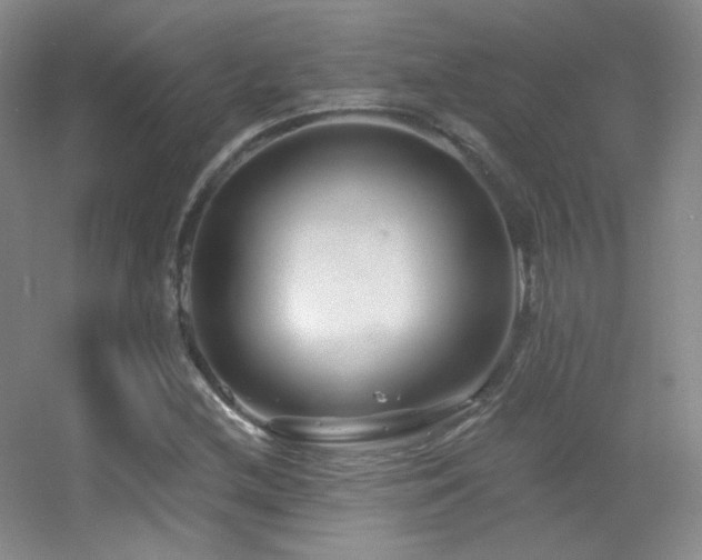 X0000055521212200508121034
