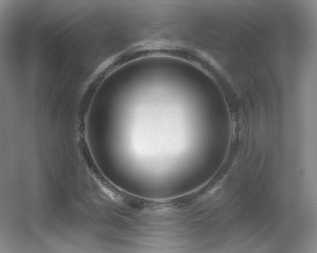 X0000055521213200508121034
