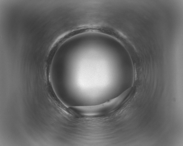 X0000055521214200508121034