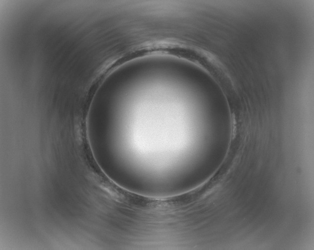 X0000055521217200508121034