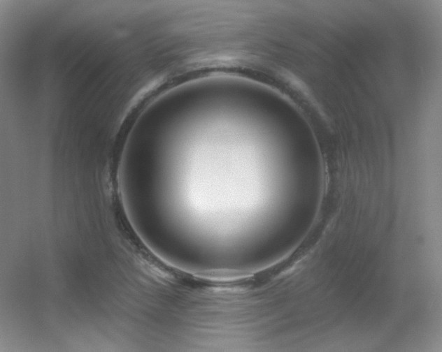 X0000055521218200508121034