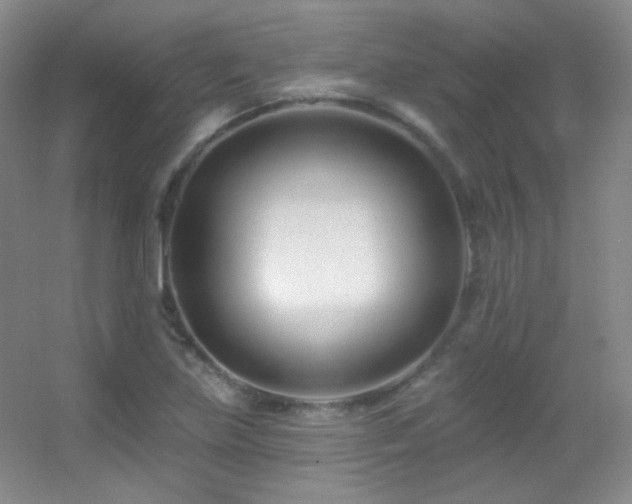 X0000055521219200508121034