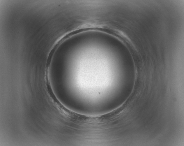 X0000055521220200508121034