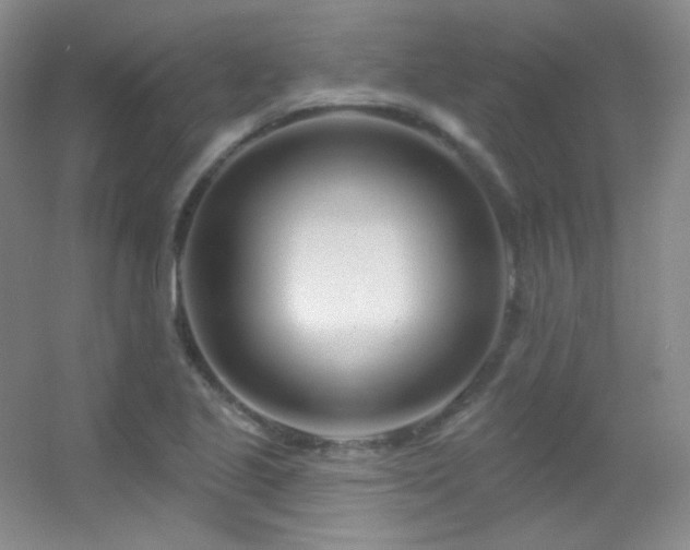 X0000055521221200508121034