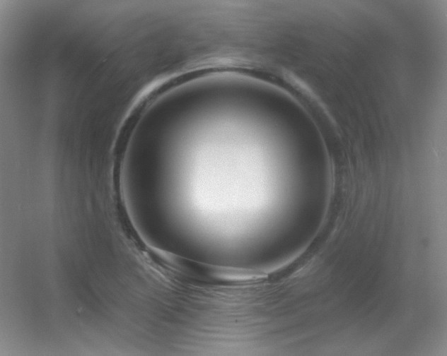 X0000055521222200508121035