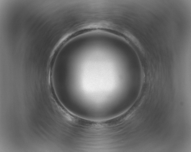 X0000055521224200508121035