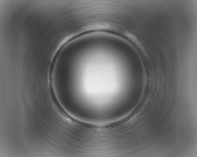 X0000055521226200508121035