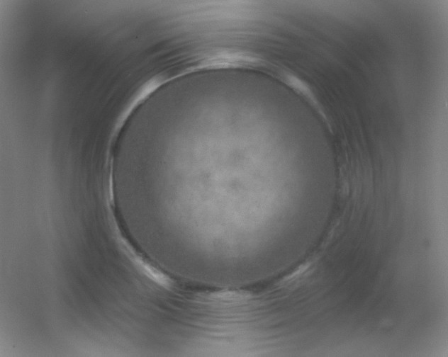 X0000055521227200508121035