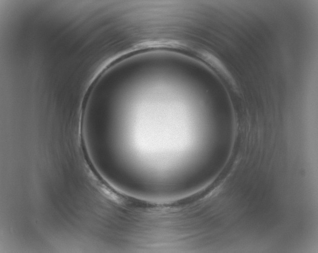 X0000055521228200508121035