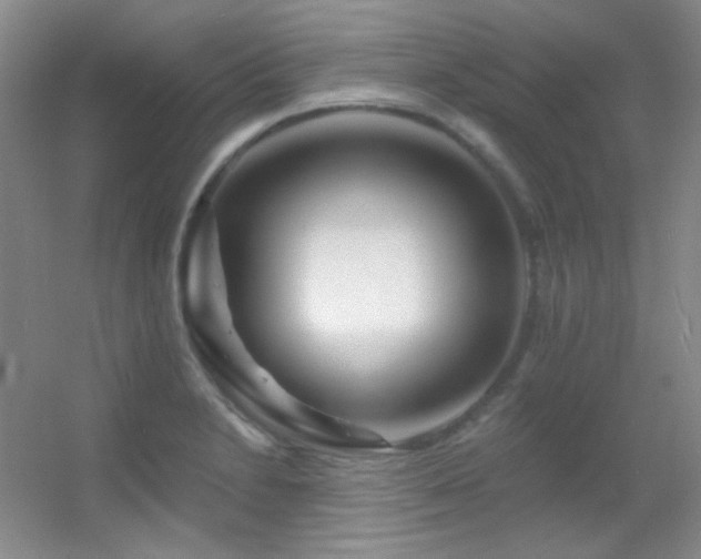 X0000055521230200508121035