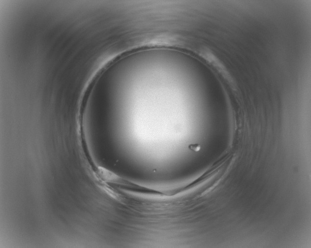 X0000055521232200508121035