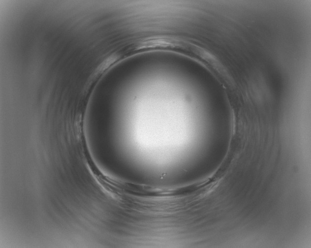 X0000055521233200508121035