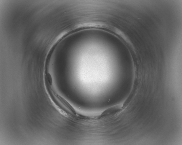 X0000055521237200508121035
