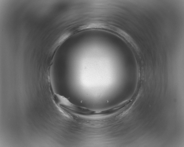 X0000055521241200508121035