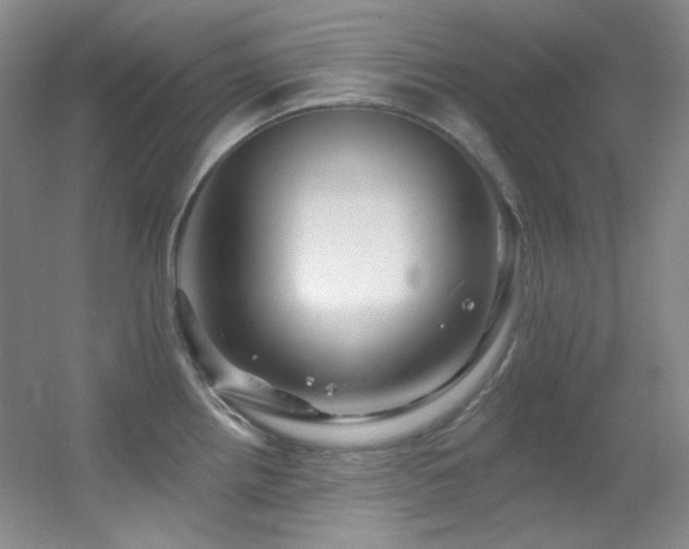 X0000055521242200508121035